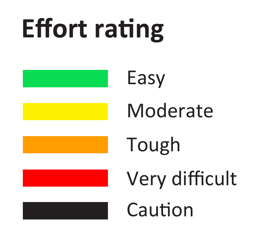 Mobility Maps Briometrix